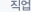 직업