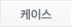 케이스