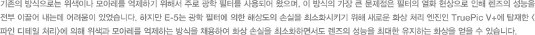 기존의 방식으로는 위색이나 모아레를 억제하기 위해서 주로 광학 필터를 사용되어 왔으며, 이 방식의 가장 큰 문제점은 필터의 열화 현상으로 인해 렌즈의 성능을 전부 이끌어 내는데 어려움이 있었습니다. 하지만 E-5는 광학 필터에 의한 해상도의 손실을 최소화시키기 위해 새로운 화상 처리 엔진인 TruePic V+에 탑재한 <파인 디테일 처리>에 의해 위색과 모아레를 억제하는 방식을 채용하여 화상 손실을 최소화하면서도 렌즈의 성능을 최대한 유지하는 화상을 얻을 수 있습니다.